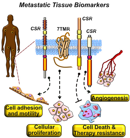 biomarkers